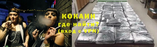 гашик Нефтекумск