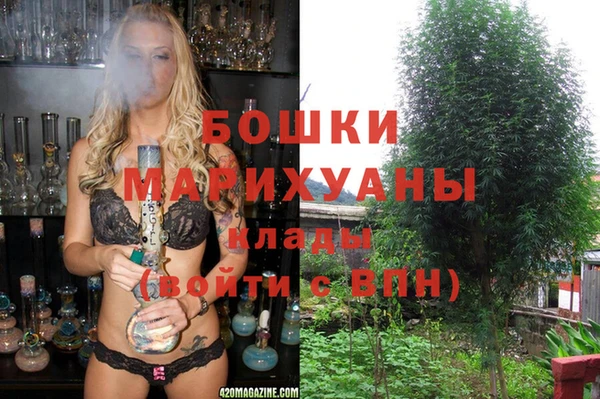 ГАЛЛЮЦИНОГЕННЫЕ ГРИБЫ Лиски