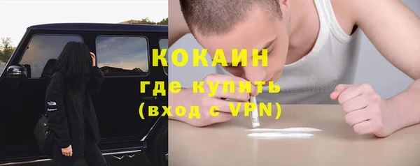 ГАЛЛЮЦИНОГЕННЫЕ ГРИБЫ Лиски