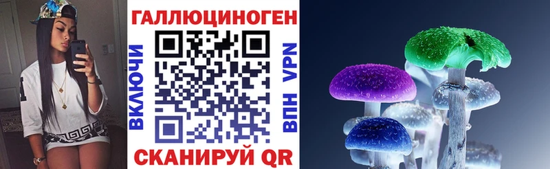 наркота  Щучье  Псилоцибиновые грибы MAGIC MUSHROOMS 